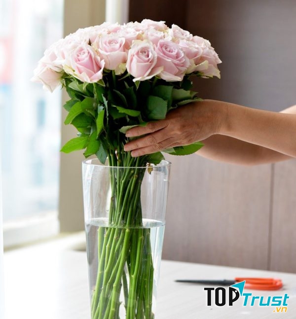 Ảnh minh họa (Nguồn Internet)