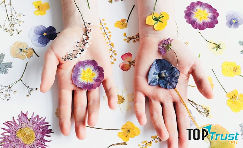 Ảnh minh họa (Nguồn Internet)