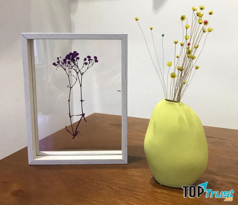 Ảnh minh họa (Nguồn Internet)