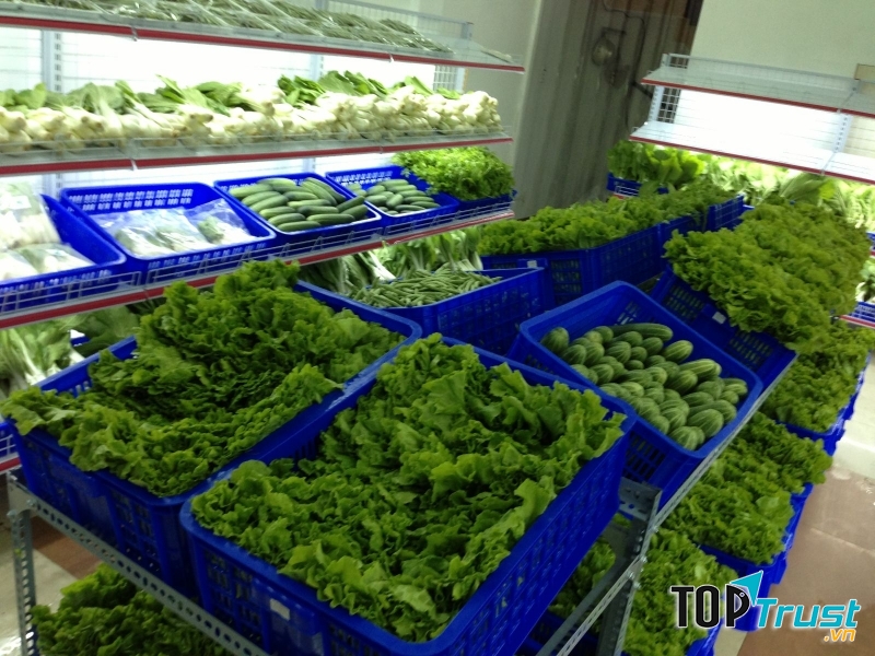 Kinh doanh rau sạch