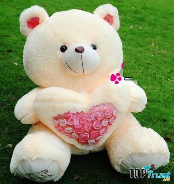 Kinh doanh thú bông