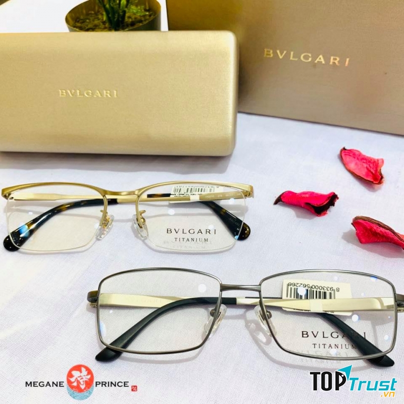 Kính mắt Nhật Megane Prince - Tân Phú