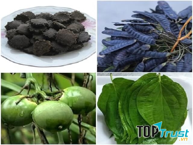 Kết hợp lá trầu không, bồ kết, nhân hạt gấc và quả cau chữa trĩ