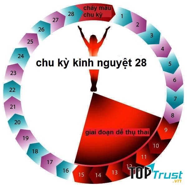 Vòng kinh bị đảo lộn