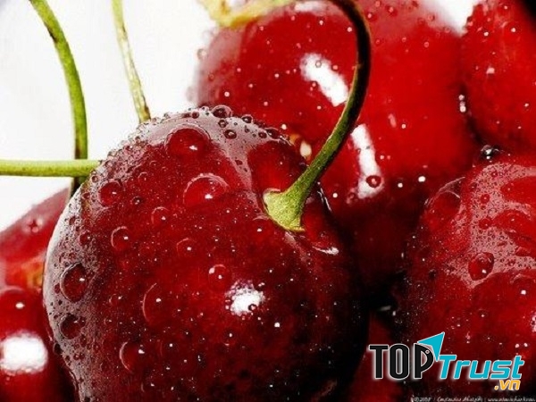 Cherry Úc tại Klever Fruits
