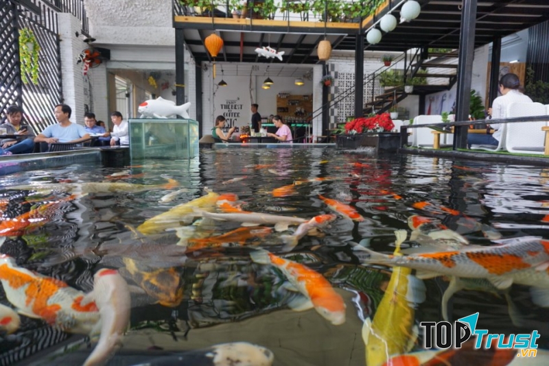 Đối với những ai yêu thích cá koi thì có thể ngồi ở tầng trệt để ngắm nhìn những con cá trong hồ nước
