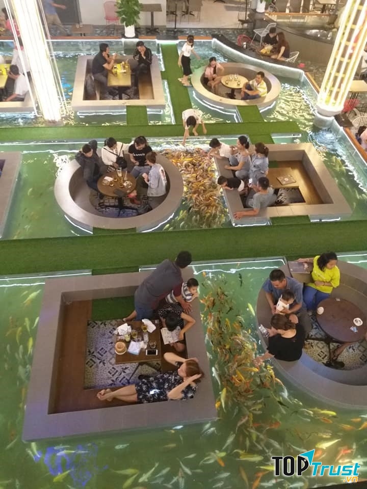 Bàn cà phê giữa hồ cá Koi
