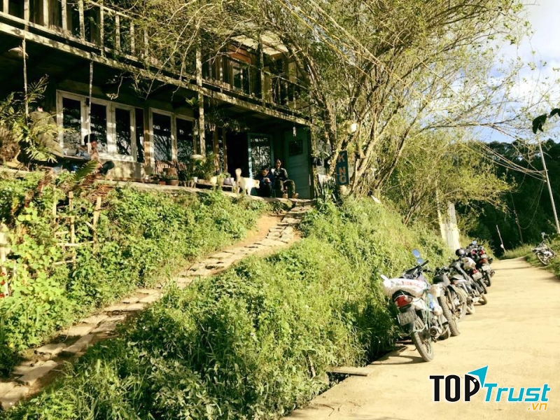 Kong cafe là sự mới lạ ở Đà Lạt