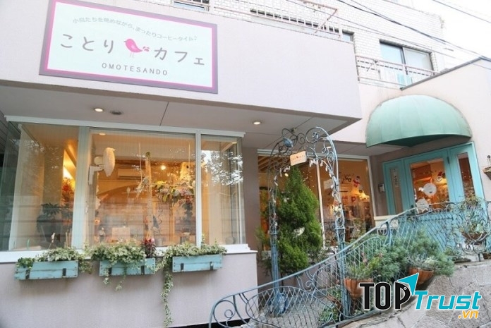 Quán có bốn chuồng chim được xây dựng bằng kính ngay trên phía cửa sổ