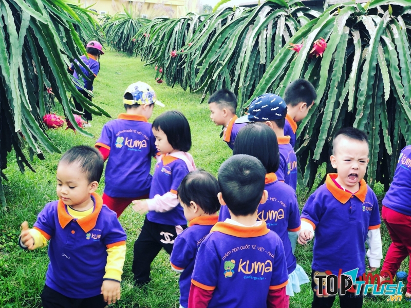 Kuma Kindergarten