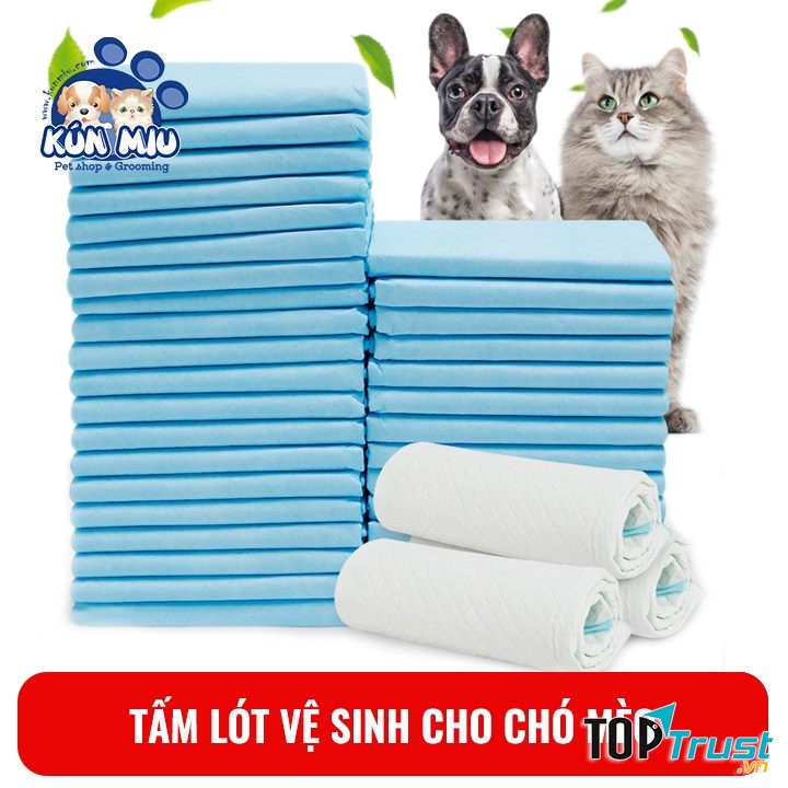 Kún Miu pet shop & Grooming