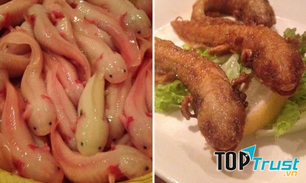 Kỳ giông (Sanshouo)