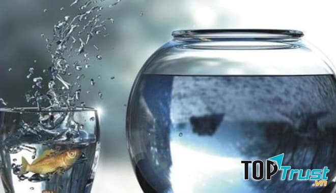 Kỹ năng khám phá bản thân