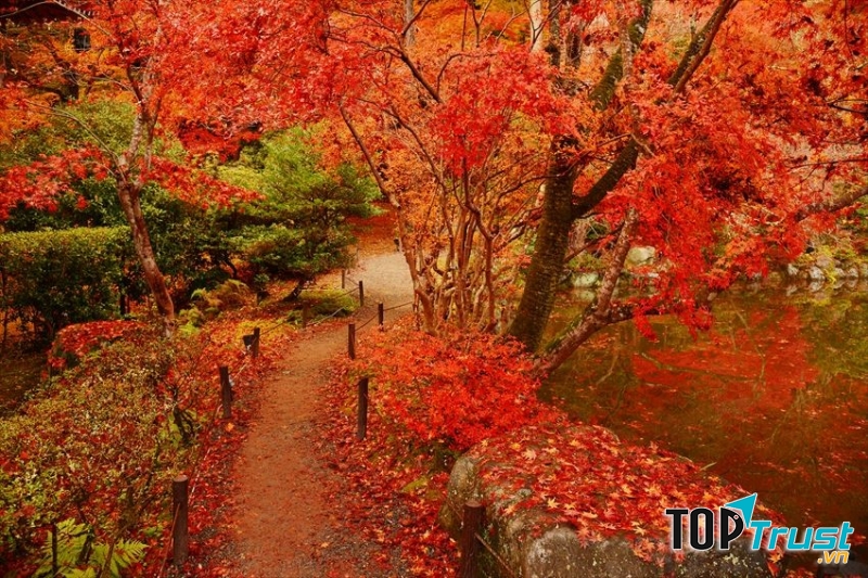 Những tán cây vàng đỏ bên cây cầu và ngôi đền tạo nên bức tranh đẹp khó cưỡng lại.