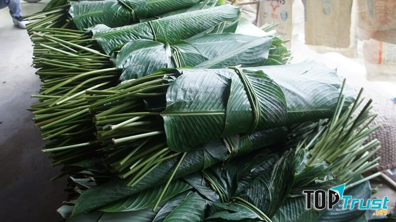 Lá dong chữa say rượu nhanh