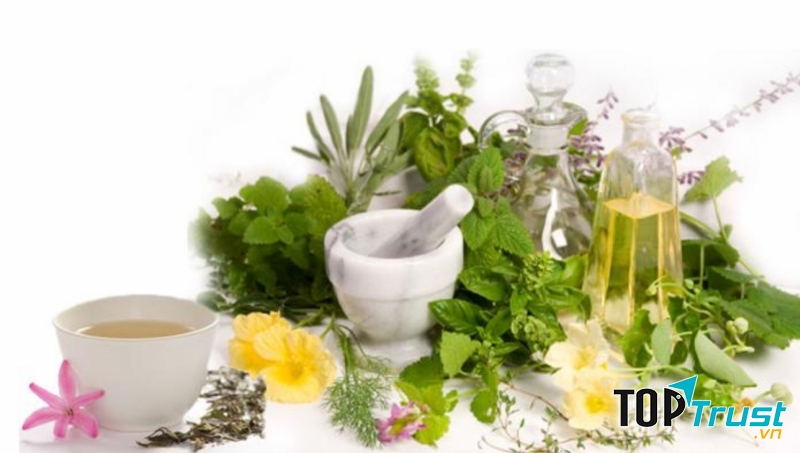 Lá hương nhu và tinh dầu bưởi