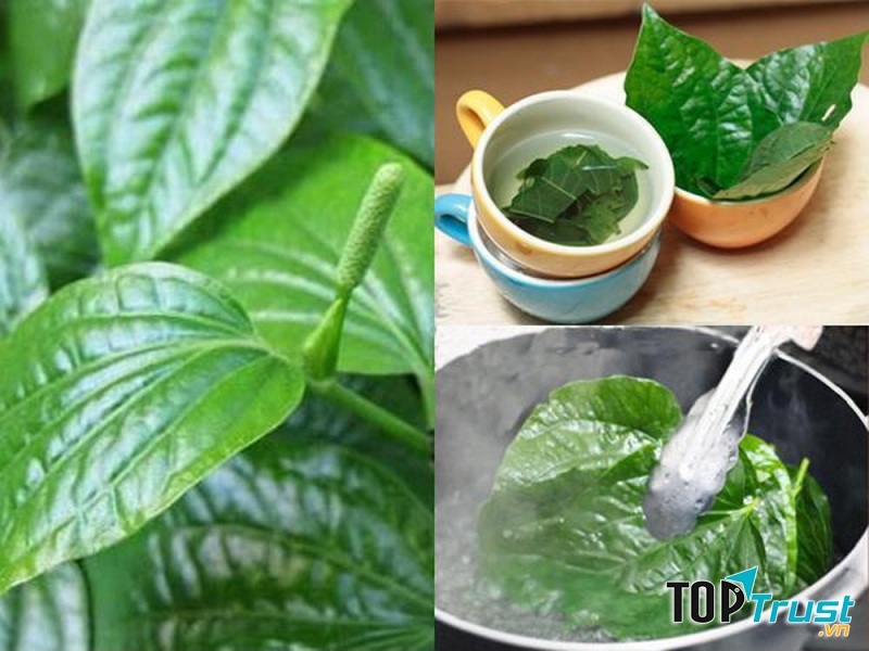 Ảnh minh họa - nguồn internet