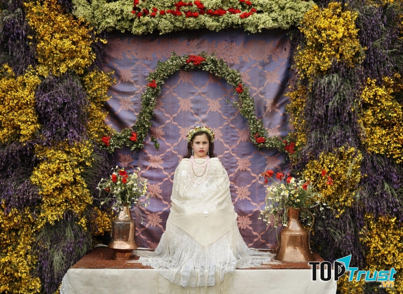 La Maya Tradition - Daniel Ochoa de Olza