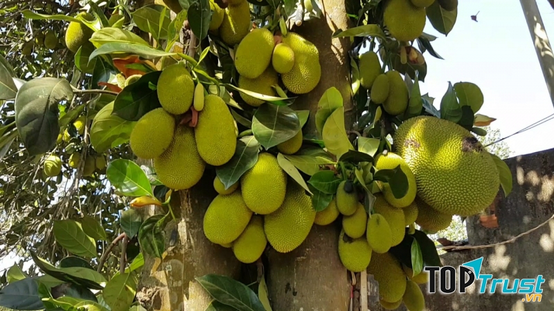 Ảnh minh họa - nguồn internet