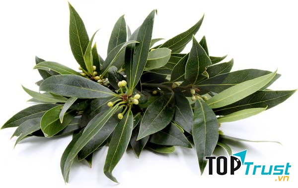 Ảnh minh họa - nguồn internet