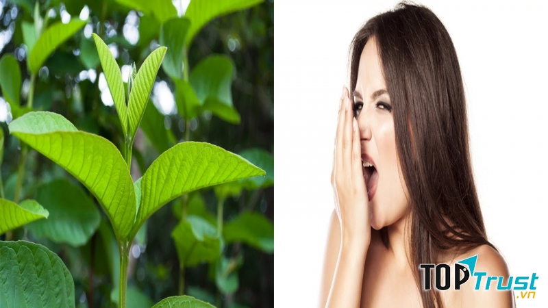 Ảnh minh họa - nguồn internet