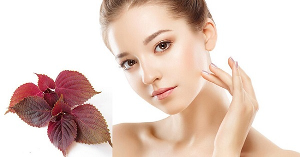 Ảnh minh họa - nguồn internet