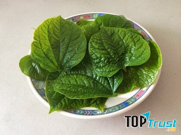 Ảnh minh họa - nguồn internet