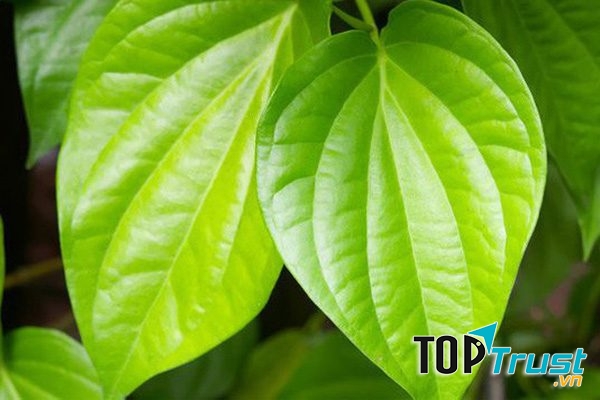 Ảnh minh họa - nguồn internet