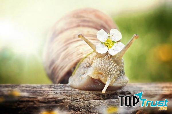 Thiền sẽ giúp bạn tận hưởng cuộc sống trọn vẹn hơn