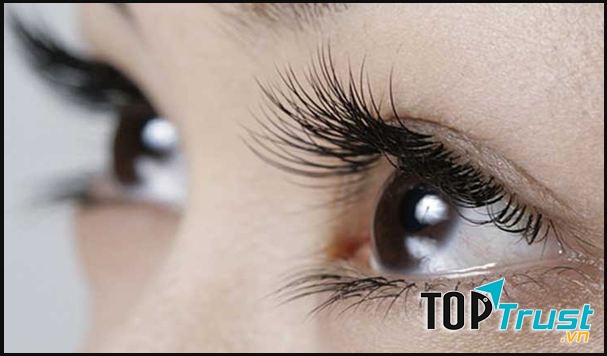 Làm dài mi tự nhiên