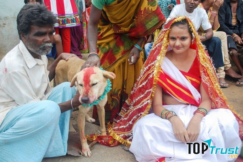 Làm đám cưới giả - Ấn Độ