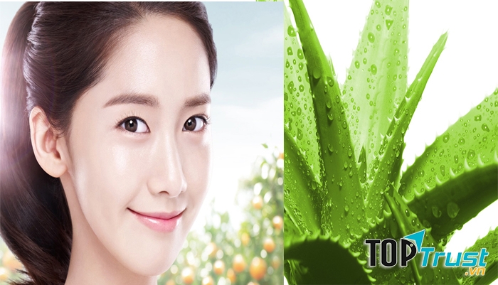 Làm đẹp da bằng nha đam