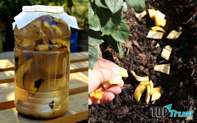 Ảnh minh họa - nguồn internet