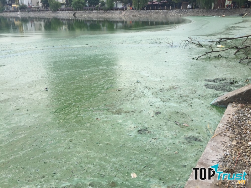 Ảnh minh họa - nguồn internet