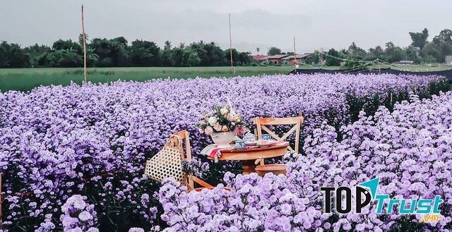 Làm việc ở nông trại hoa