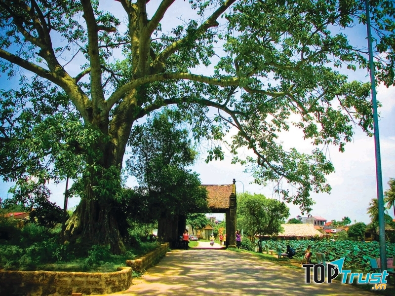 Cổng làng Mông Phụ dẫn vào làng cổ Đường Lâm - hình ảnh cổng làng đặc trưng của làng quê Việt