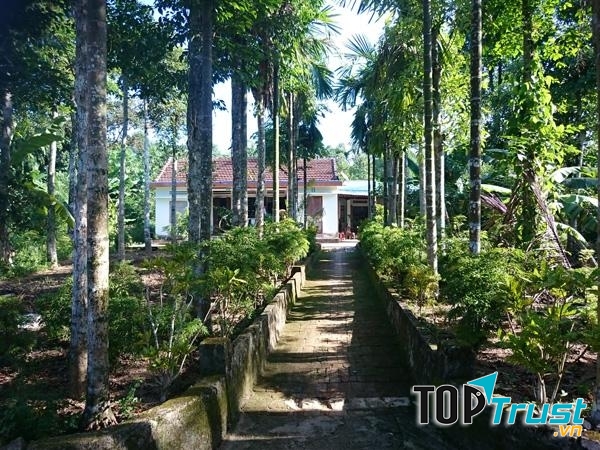 Những hàng cây xanh mơn mởn níu chân du khách khi đến làng cổ Lộc Yên.