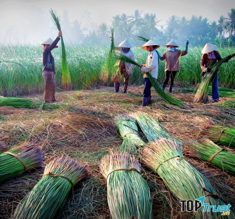 Nghề dệt chiếu làng Hới