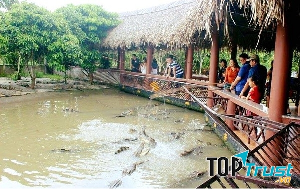 Câu cá sấu tại làng du lịch Mỹ Khánh