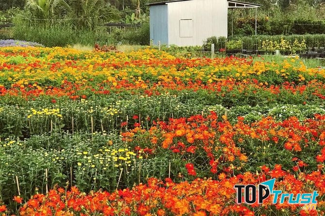 Rực rỡ sắc hoa Bà Bộ