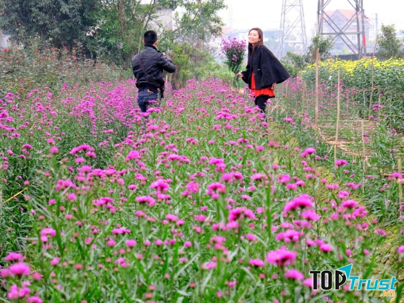 Mùa hoa nở rực trên đất Cảng