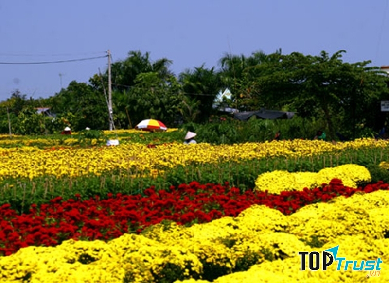 Hoa Mê Linh từ lâu đã trở thành một thương hiệu khá nổi tiếng trên thị trường hoa trong cả nước.