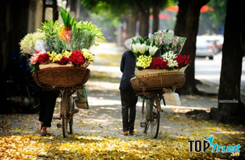 Hoa Ngọc Hà vẫn len lỏi khắp các con phố thủ đô