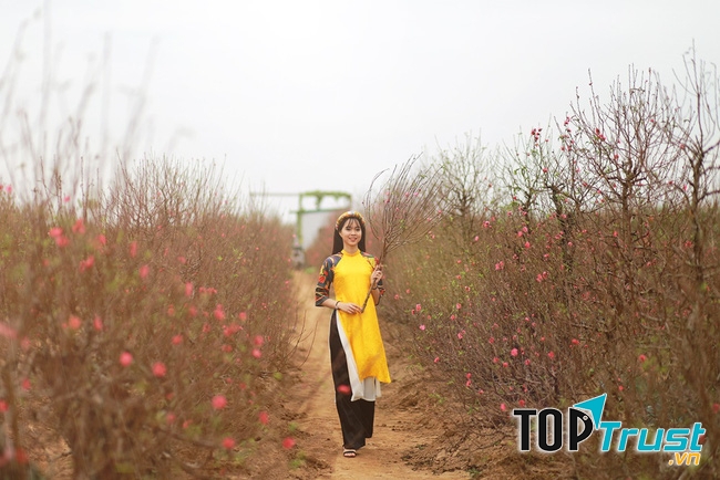 Nhiều bạn trẻ chọn làng hoa Phú Thượng là địa điểm chụp ảnh Tết lý tưởng