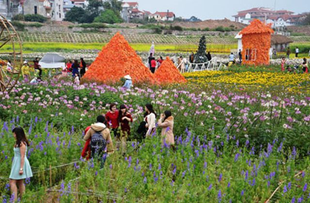 Làng hoa Quảng Bá