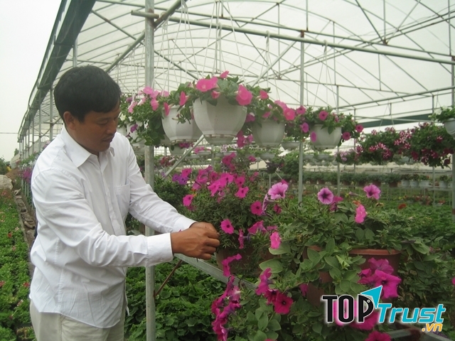 Làng hoa Xuân Quan