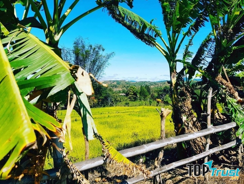 Phong cảnh bình yên của một miền quê tại ngôi làng