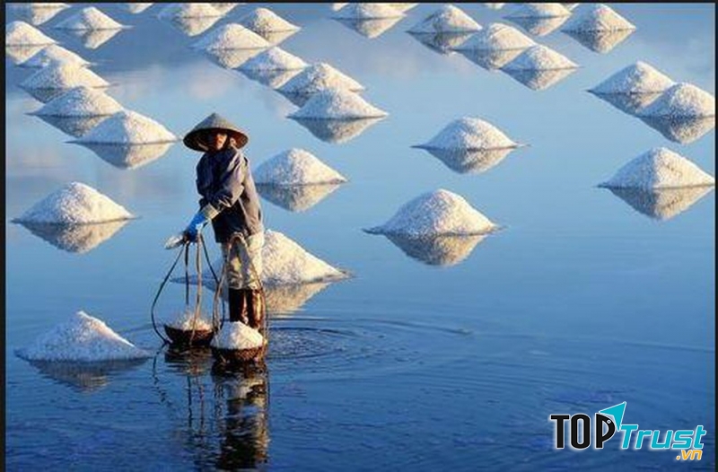 Cánh đồng muối