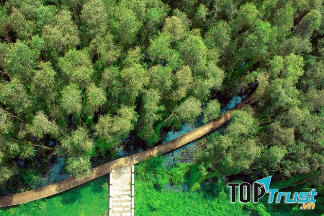 Du khách đến đây để tìm cảm giác thư thái, đắm mình giữa thiên nhiên rừng tràm xanh ngắt