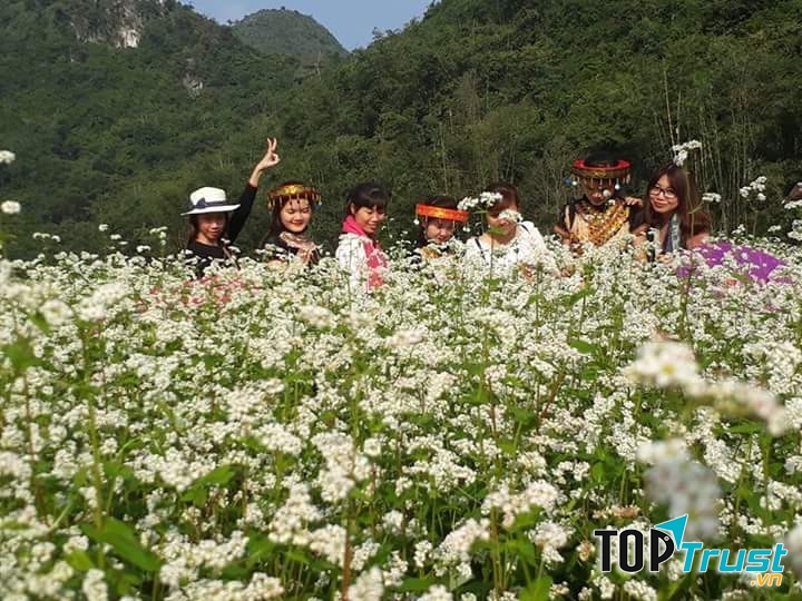Là địa điểm ngắm hoa tam giác mạch được nhiều người lựa chọn